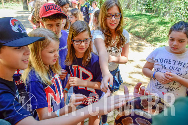 Buy your photos of the eventNR1 Ol� 6� ano - 19 A 21 /10/18 on Fotop