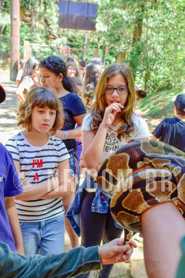 Buy your photos of the eventNR1 Ol� 6� ano - 19 A 21 /10/18 on Fotop