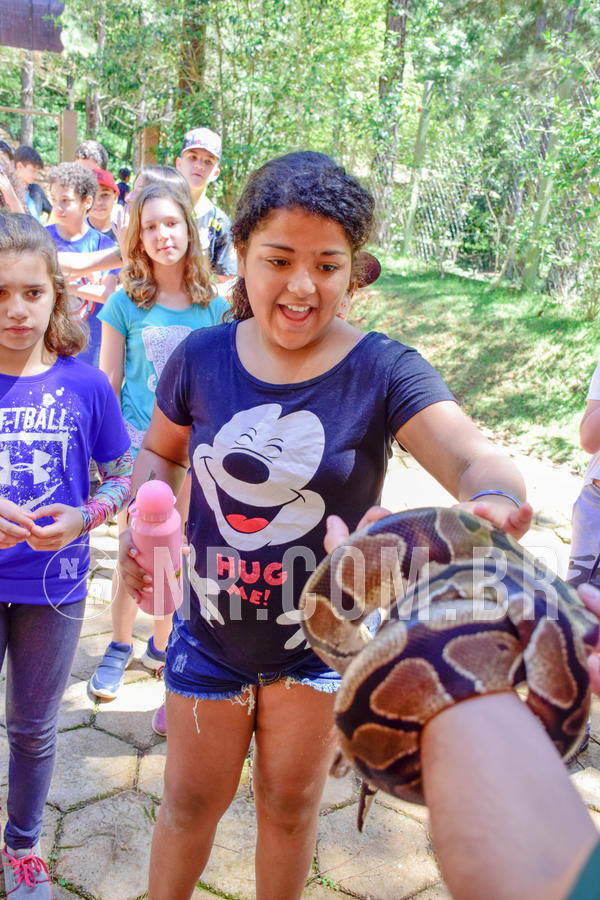 Buy your photos of the eventNR1 Ol� 6� ano - 19 A 21 /10/18 on Fotop