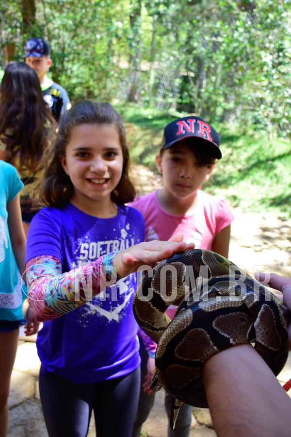 Buy your photos of the eventNR1 Ol� 6� ano - 19 A 21 /10/18 on Fotop