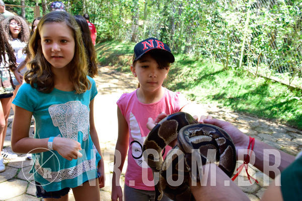 Buy your photos of the eventNR1 Ol� 6� ano - 19 A 21 /10/18 on Fotop