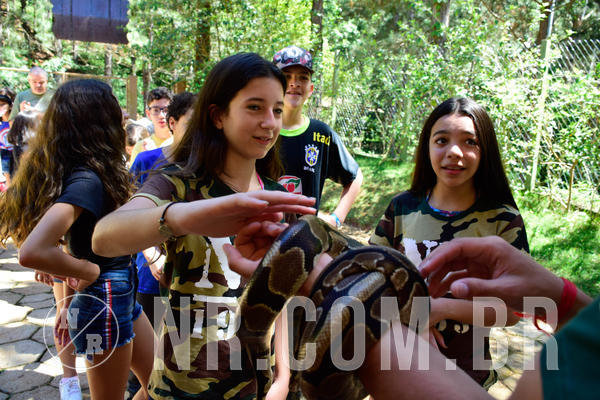 Buy your photos of the eventNR1 Ol� 6� ano - 19 A 21 /10/18 on Fotop