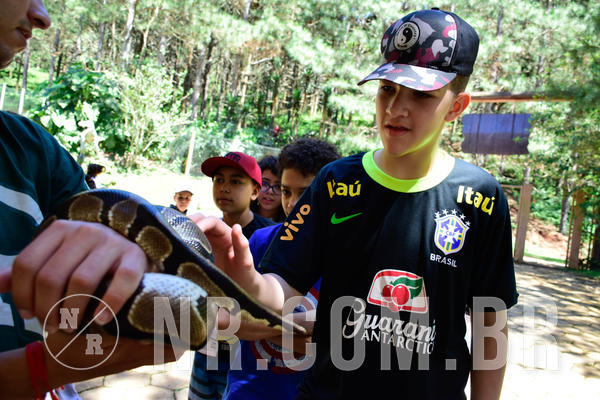 Buy your photos of the eventNR1 Ol� 6� ano - 19 A 21 /10/18 on Fotop