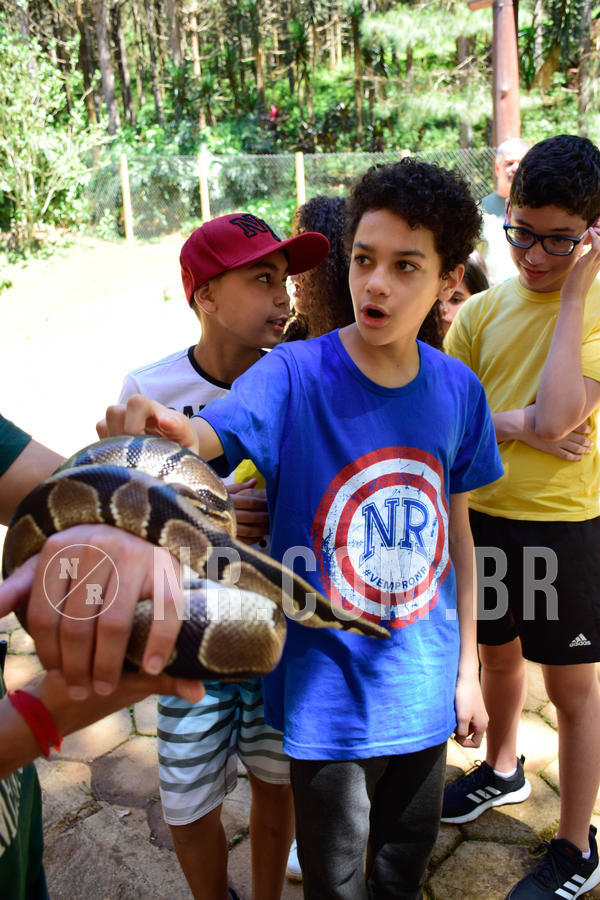 Buy your photos of the eventNR1 Ol� 6� ano - 19 A 21 /10/18 on Fotop