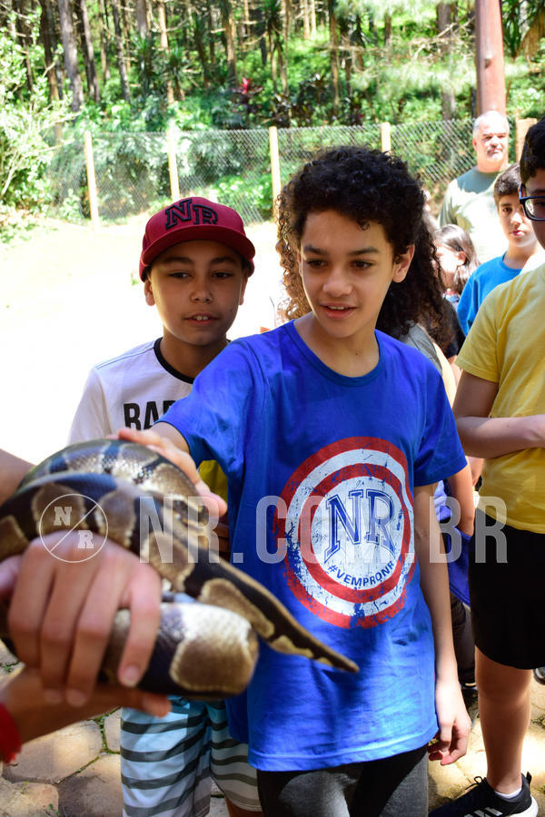 Buy your photos of the eventNR1 Ol� 6� ano - 19 A 21 /10/18 on Fotop