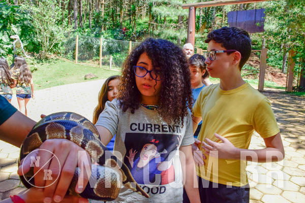 Buy your photos of the eventNR1 Ol� 6� ano - 19 A 21 /10/18 on Fotop