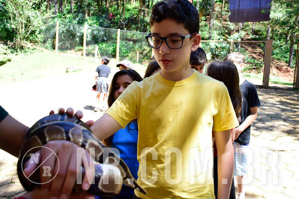 Buy your photos of the eventNR1 Ol� 6� ano - 19 A 21 /10/18 on Fotop