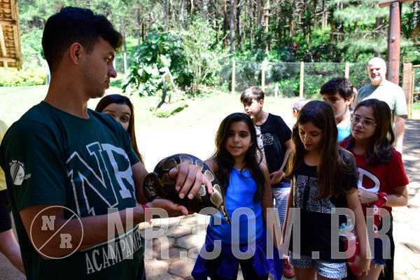 Buy your photos of the eventNR1 Ol� 6� ano - 19 A 21 /10/18 on Fotop