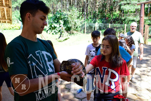 Buy your photos of the eventNR1 Ol� 6� ano - 19 A 21 /10/18 on Fotop