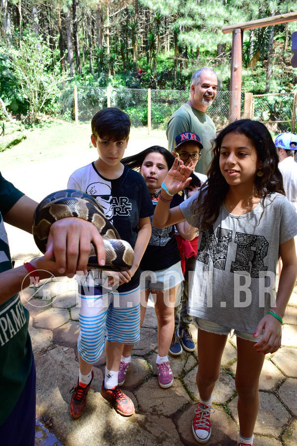 Buy your photos of the eventNR1 Ol� 6� ano - 19 A 21 /10/18 on Fotop
