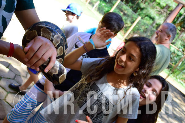 Buy your photos of the eventNR1 Ol� 6� ano - 19 A 21 /10/18 on Fotop