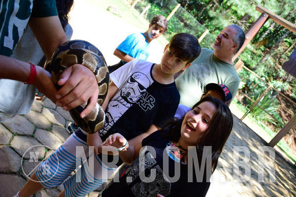 Buy your photos of the eventNR1 Ol� 6� ano - 19 A 21 /10/18 on Fotop