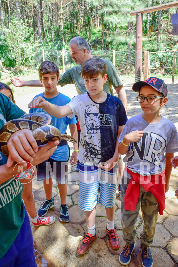 Buy your photos of the eventNR1 Ol� 6� ano - 19 A 21 /10/18 on Fotop