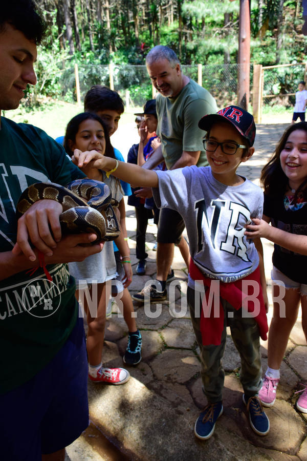 Buy your photos of the eventNR1 Ol� 6� ano - 19 A 21 /10/18 on Fotop