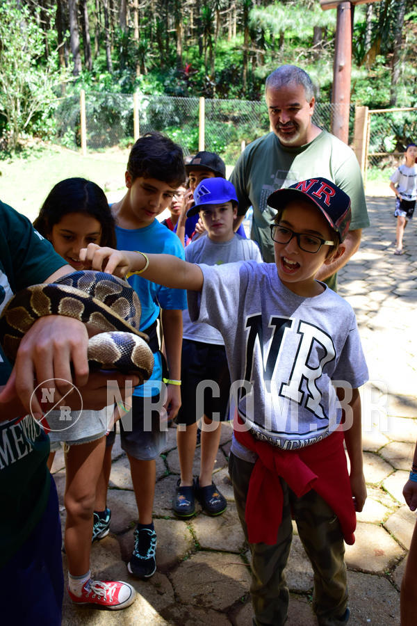 Buy your photos of the eventNR1 Ol� 6� ano - 19 A 21 /10/18 on Fotop