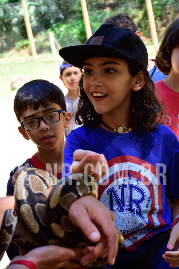Buy your photos of the eventNR1 Ol� 6� ano - 19 A 21 /10/18 on Fotop