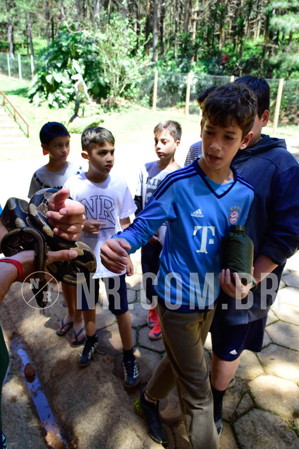 Buy your photos of the eventNR1 Ol� 6� ano - 19 A 21 /10/18 on Fotop