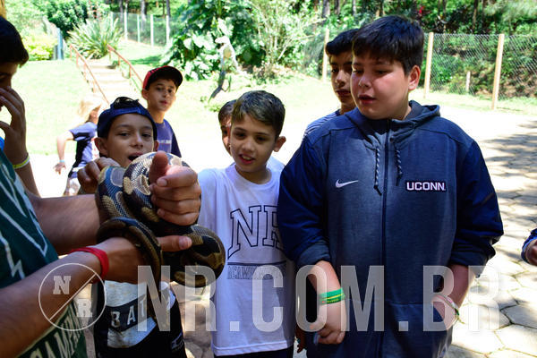 Buy your photos of the eventNR1 Ol� 6� ano - 19 A 21 /10/18 on Fotop