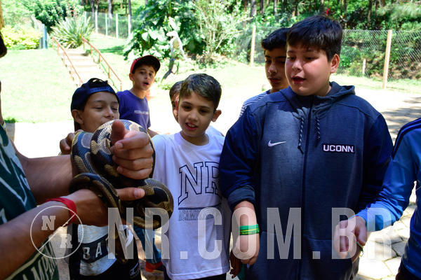 Buy your photos of the eventNR1 Ol� 6� ano - 19 A 21 /10/18 on Fotop