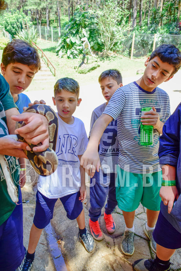 Buy your photos of the eventNR1 Ol� 6� ano - 19 A 21 /10/18 on Fotop