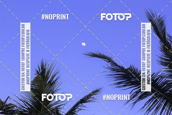 Buy your photos of the eventDivas Colors on Fotop