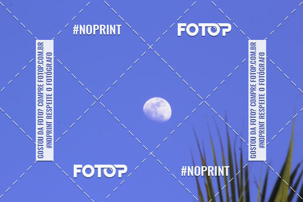 Buy your photos of the eventDivas Colors on Fotop