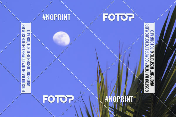 Buy your photos of the eventDivas Colors on Fotop