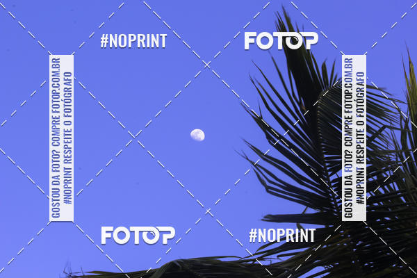 Buy your photos of the eventDivas Colors on Fotop