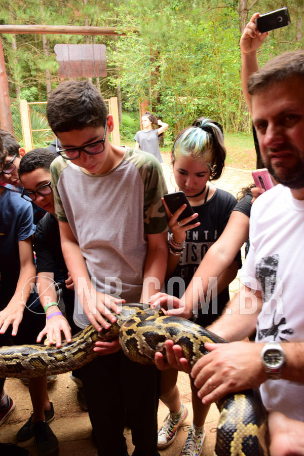 Buy your photos of the eventNR Sun - 21 A 24/10/18 on Fotop