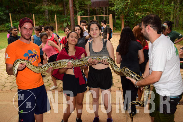 Buy your photos of the eventNR Sun - 21 A 24/10/18 on Fotop