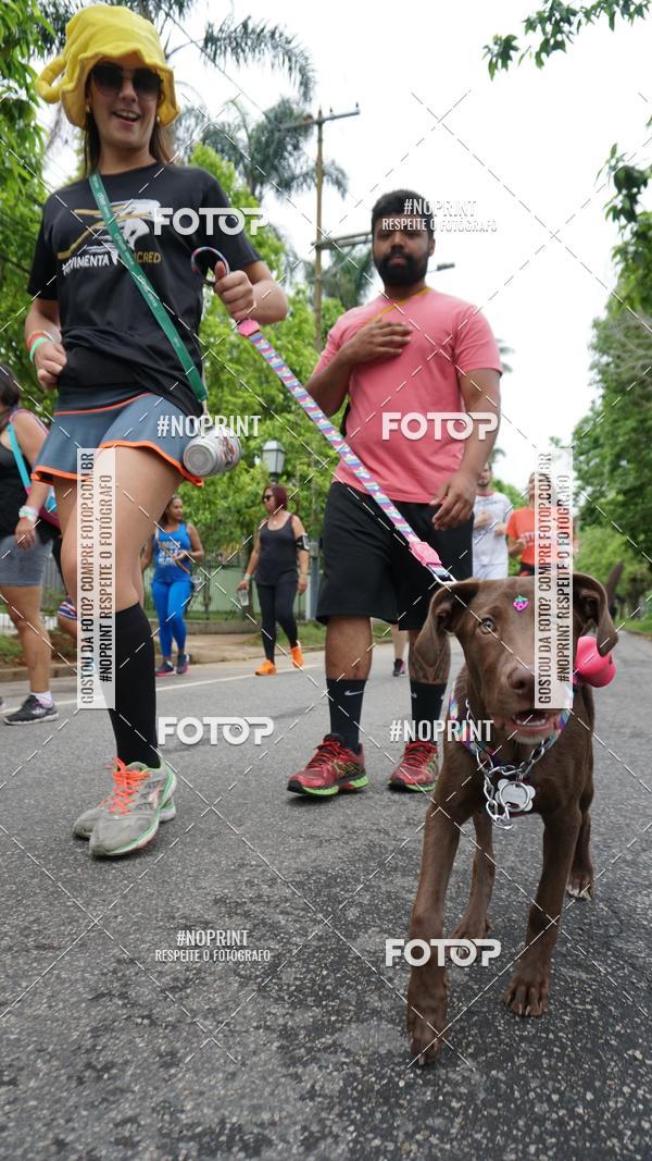 Buy your photos of the eventCircuito Cervejeiro de Corrida on Fotop