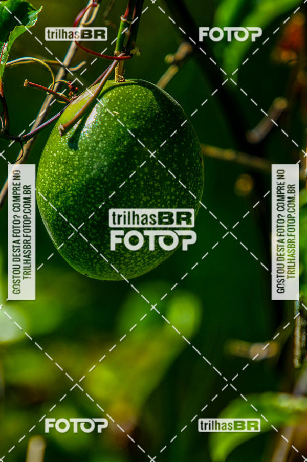 Compra tus fotos del eventoAudax Floirpa 300km En Fotop