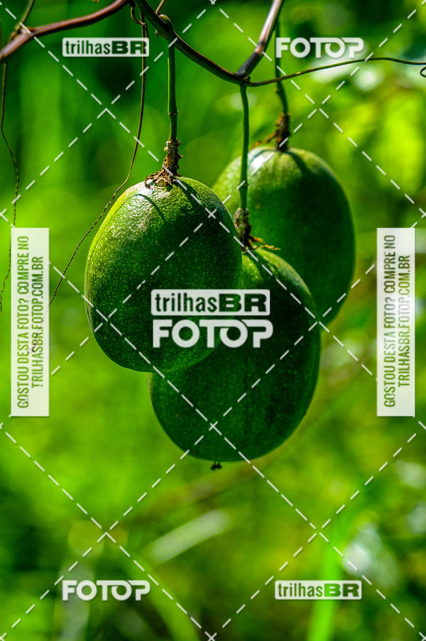 Compra tus fotos del eventoAudax Floirpa 300km En Fotop