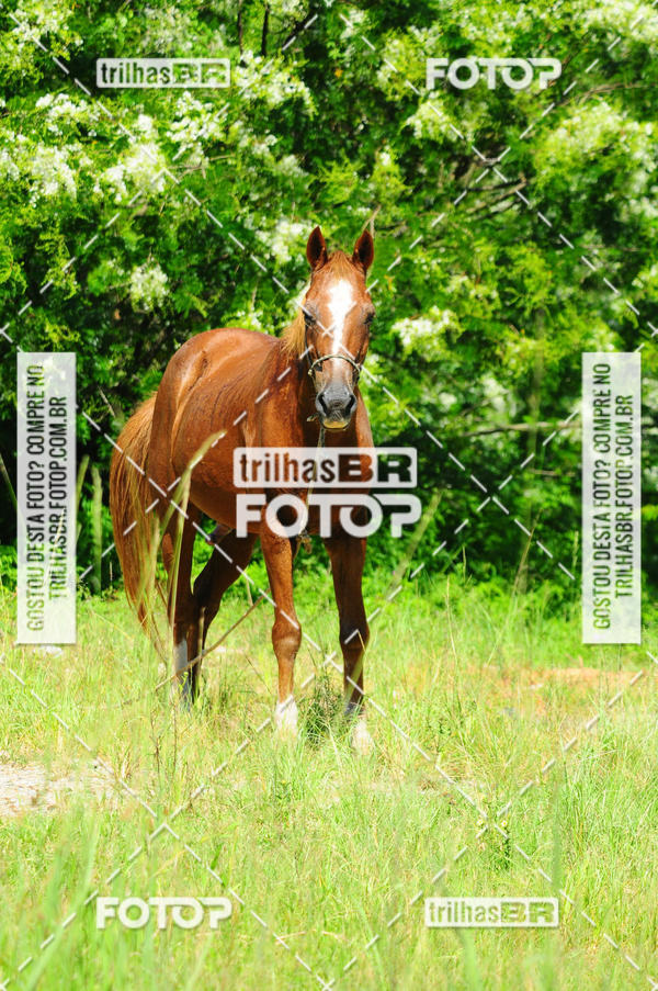 Buy your photos of the eventAudax Floirpa 300km on Fotop