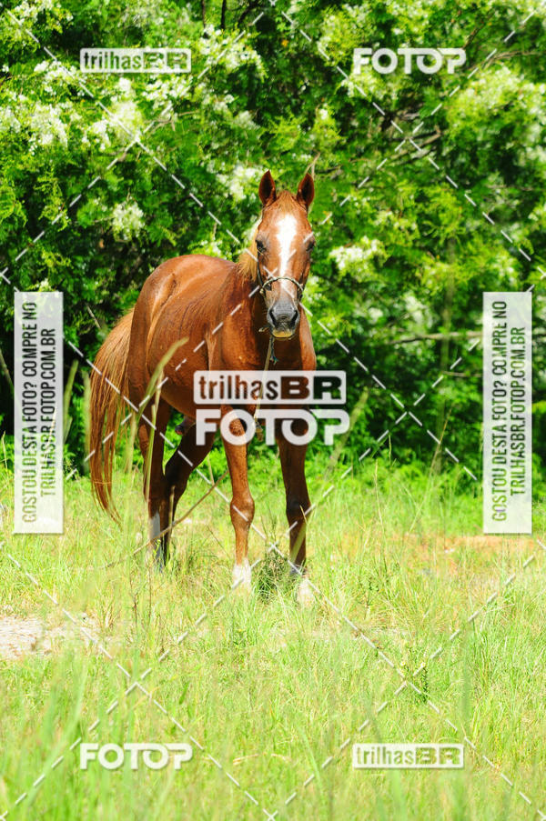 Buy your photos of the eventAudax Floirpa 300km on Fotop