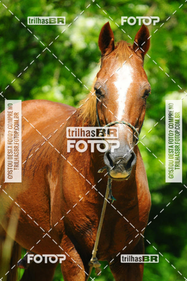 Buy your photos of the eventAudax Floirpa 300km on Fotop