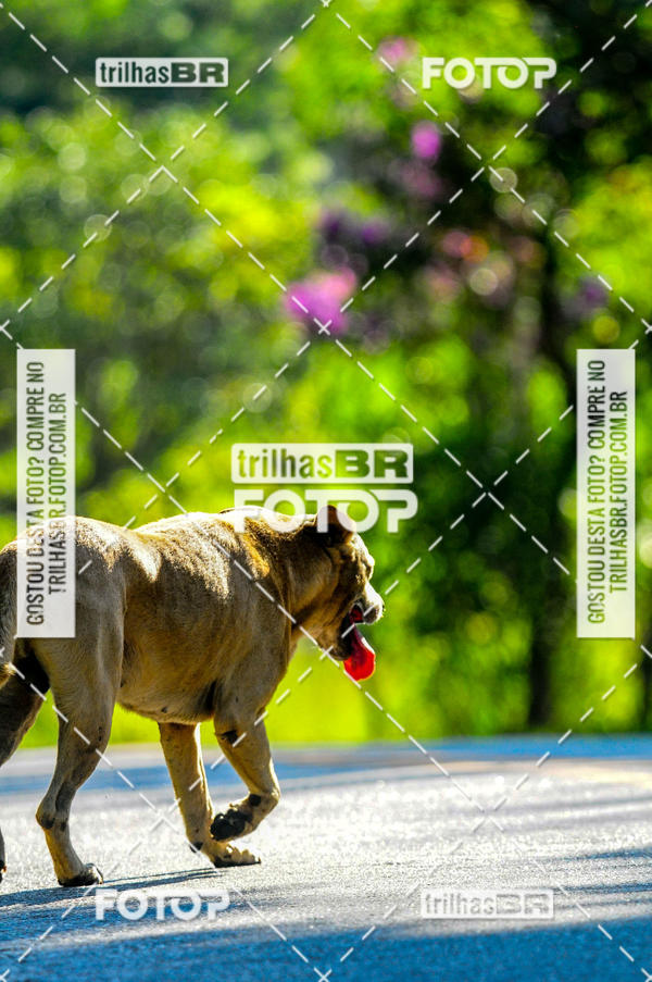 Buy your photos of the eventAudax Floirpa 300km on Fotop