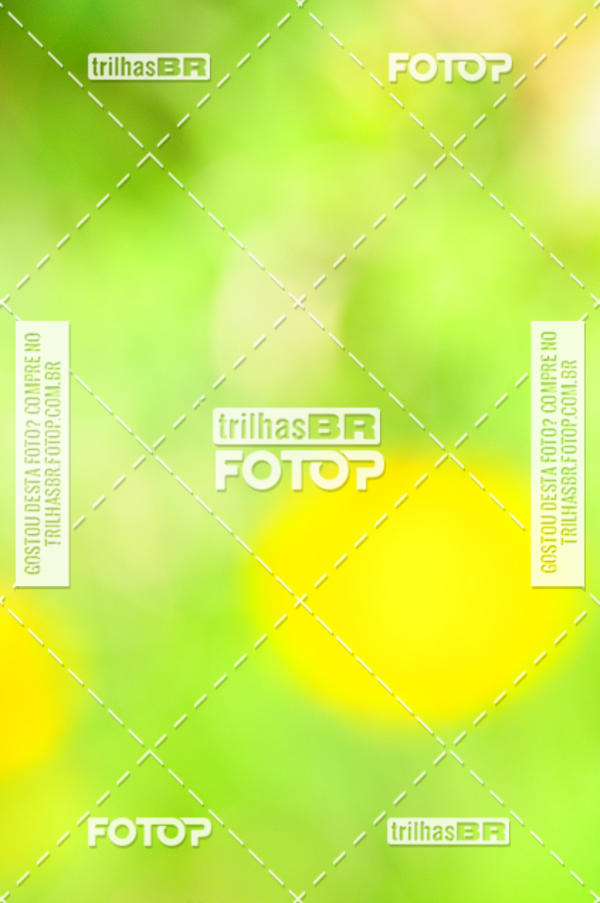 Buy your photos of the eventAudax Floirpa 300km on Fotop