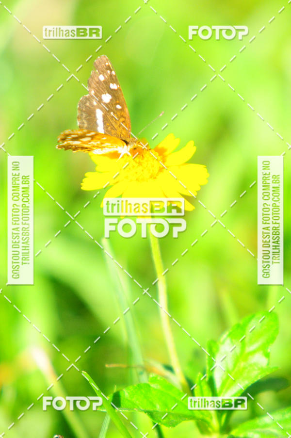 Buy your photos of the eventAudax Floirpa 300km on Fotop