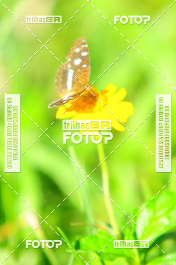 Buy your photos of the eventAudax Floirpa 300km on Fotop