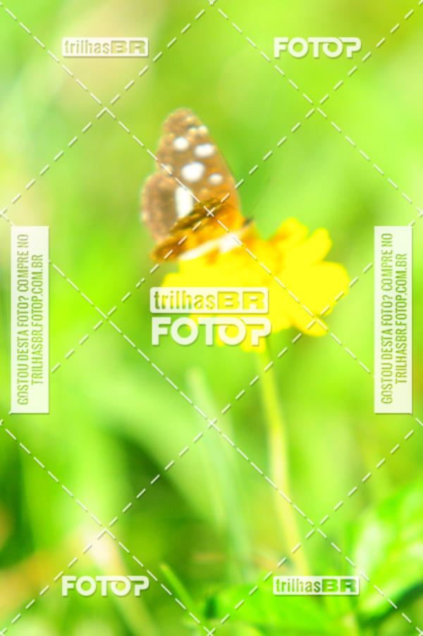 Buy your photos of the eventAudax Floirpa 300km on Fotop