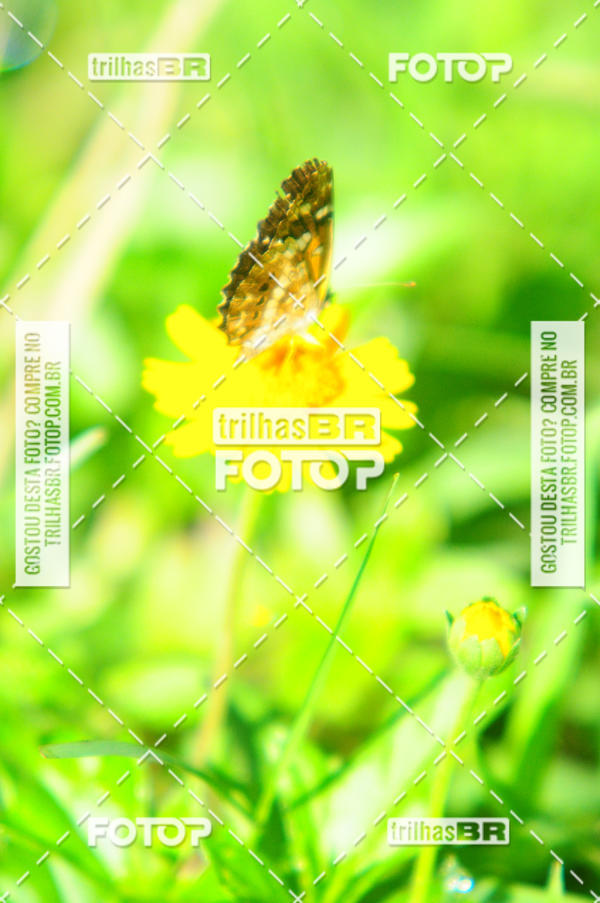 Buy your photos of the eventAudax Floirpa 300km on Fotop