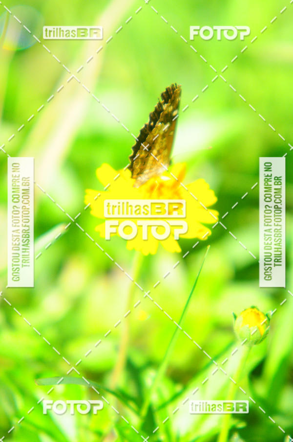 Buy your photos of the eventAudax Floirpa 300km on Fotop