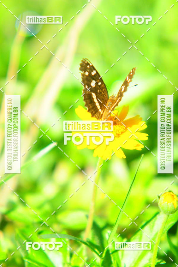 Buy your photos of the eventAudax Floirpa 300km on Fotop