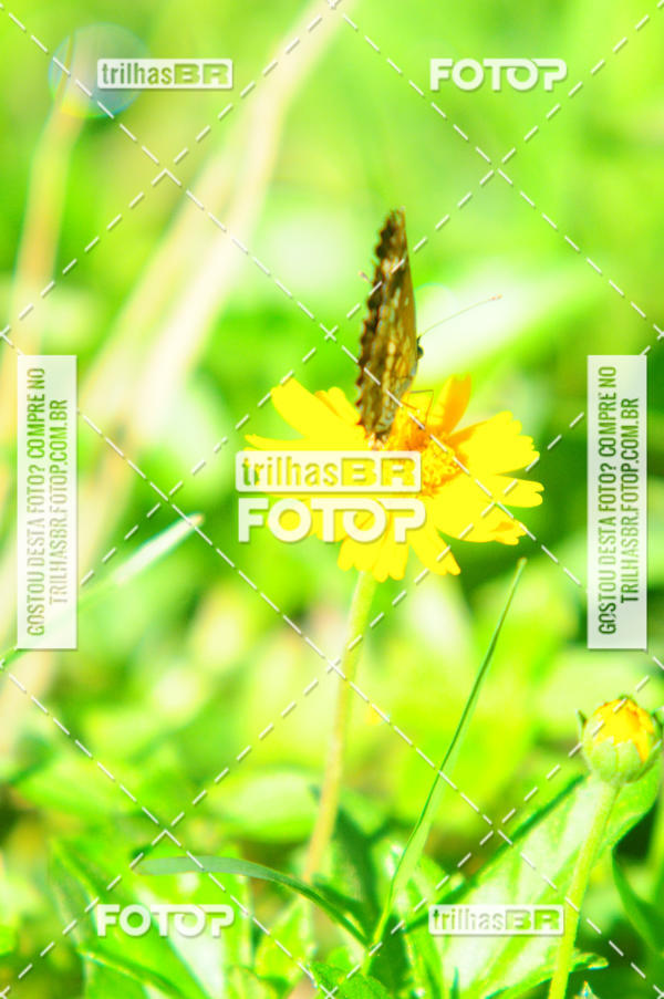 Buy your photos of the eventAudax Floirpa 300km on Fotop