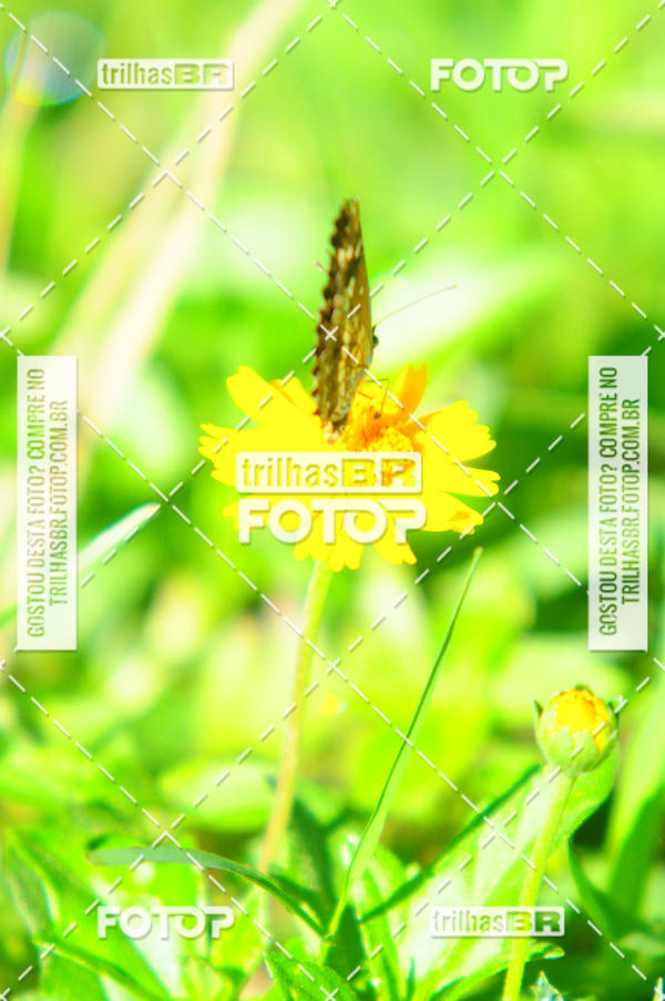 Buy your photos of the eventAudax Floirpa 300km on Fotop