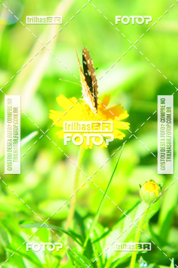 Buy your photos of the eventAudax Floirpa 300km on Fotop