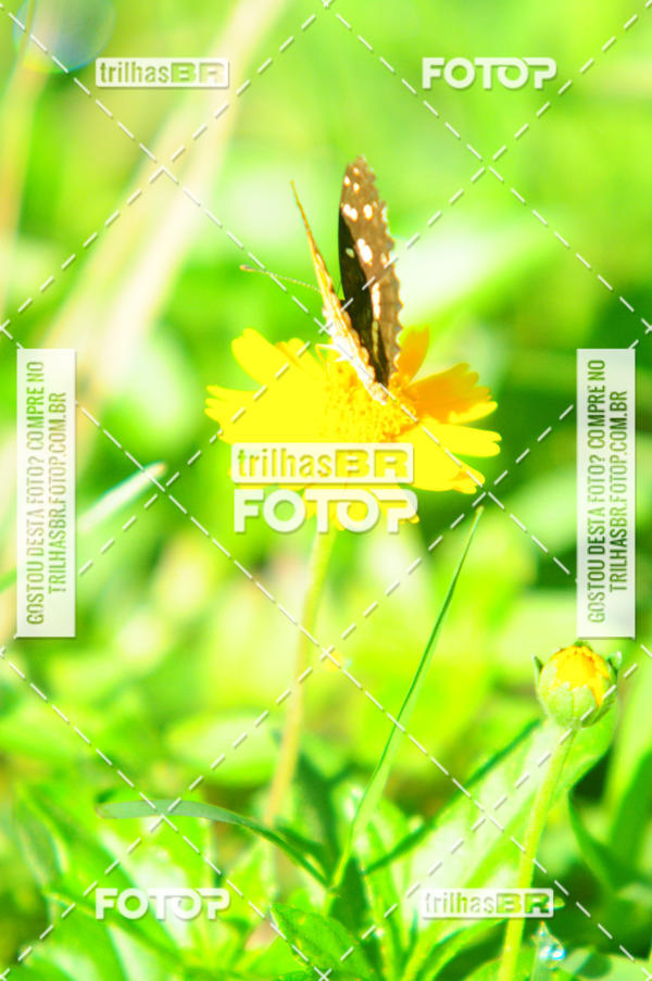 Buy your photos of the eventAudax Floirpa 300km on Fotop