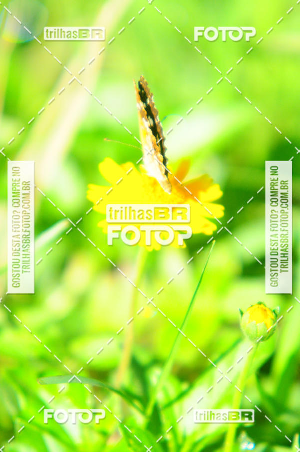 Buy your photos of the eventAudax Floirpa 300km on Fotop