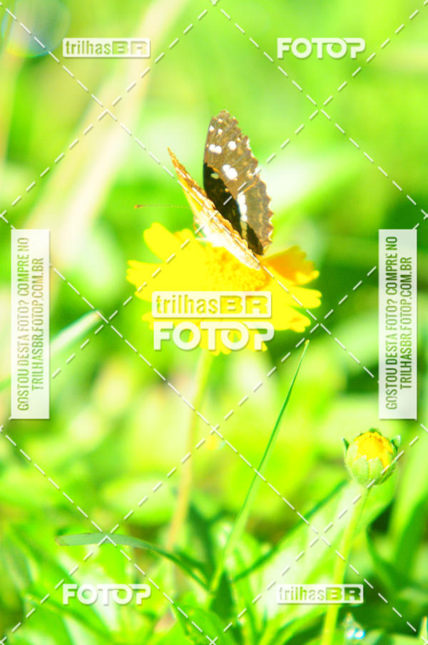 Buy your photos of the eventAudax Floirpa 300km on Fotop